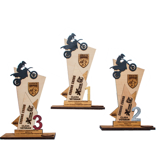 Set trofee cupe HH1658 Locurile 1 2 3 Personalizat din lemn 18x20 cm