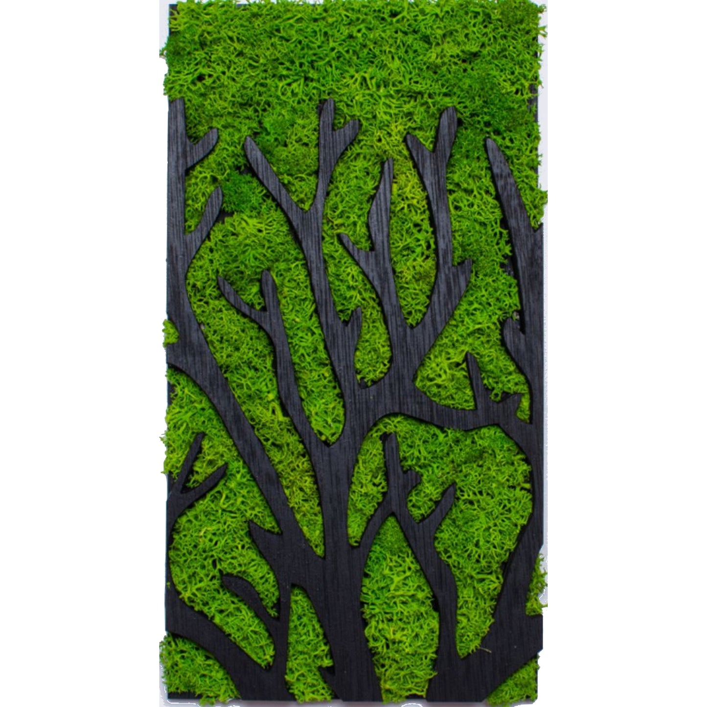 Decor Personalizat Licheni Crengi de Copac din lemn HH1528