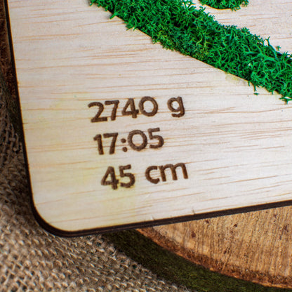 Rama Inima Personalizata cu Detaliile Nasterii HH1551 din lemn Personalizat cu Licheni 17x15 cm