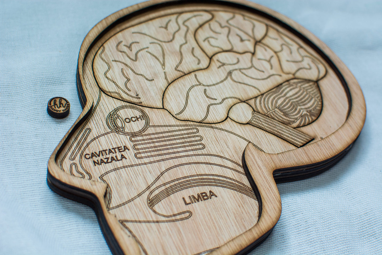 Puzzle din lemn Personalizabil, Corp si Craniu Uman Multistrat