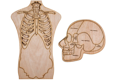 Puzzle din lemn Personalizabil, Corp si Craniu Uman Multistrat